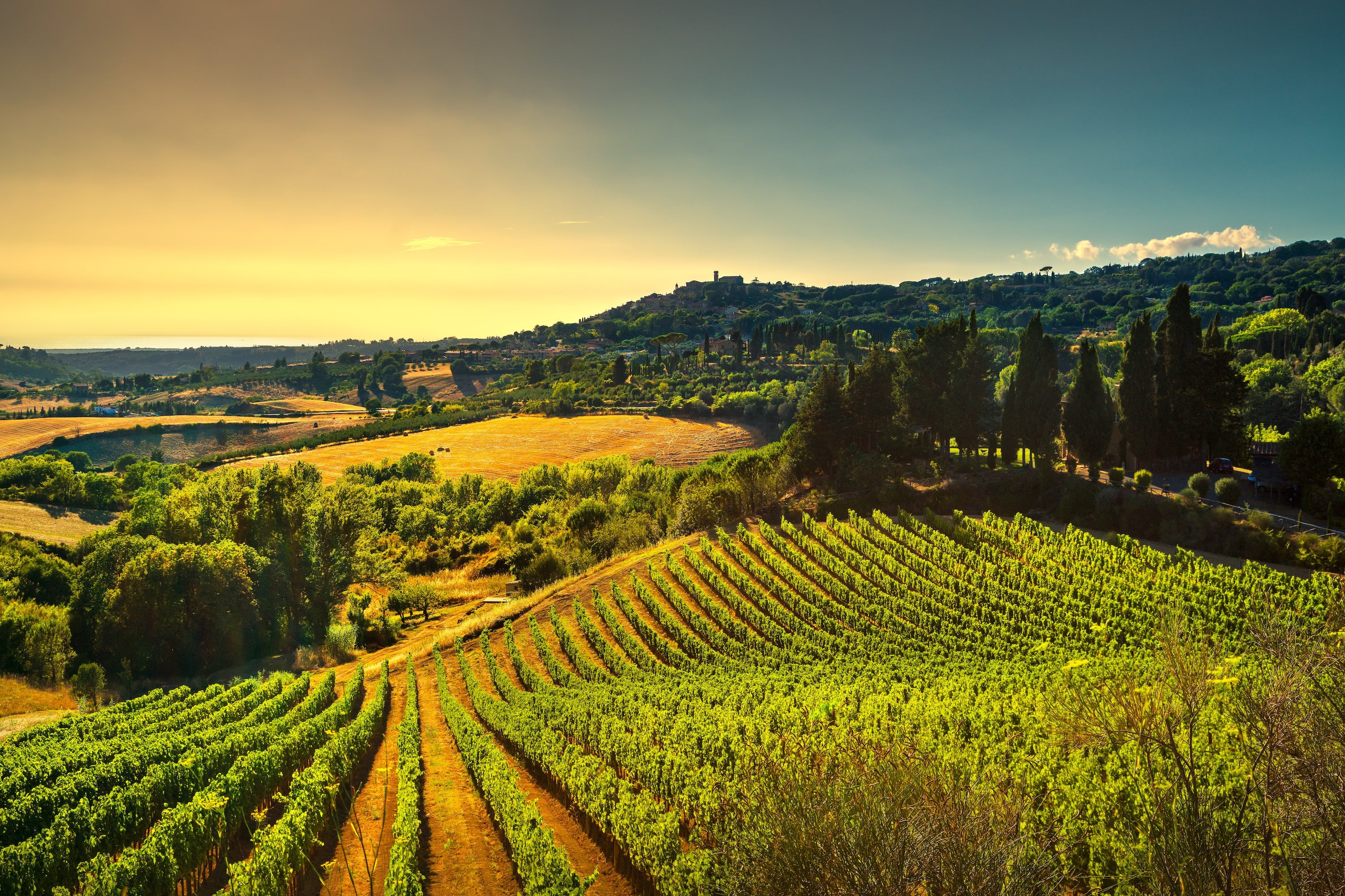Wine - Spiritly