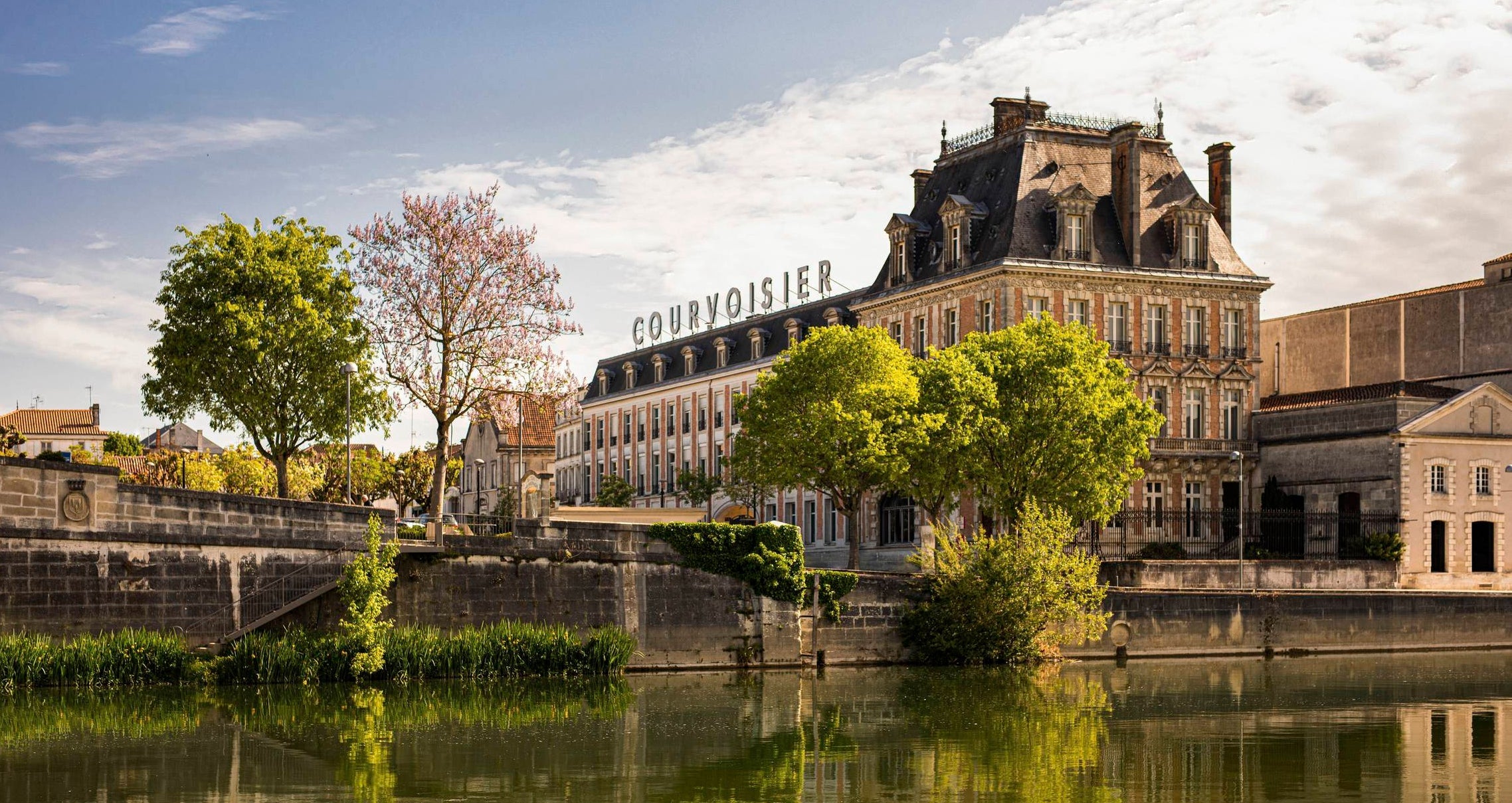 Cognac