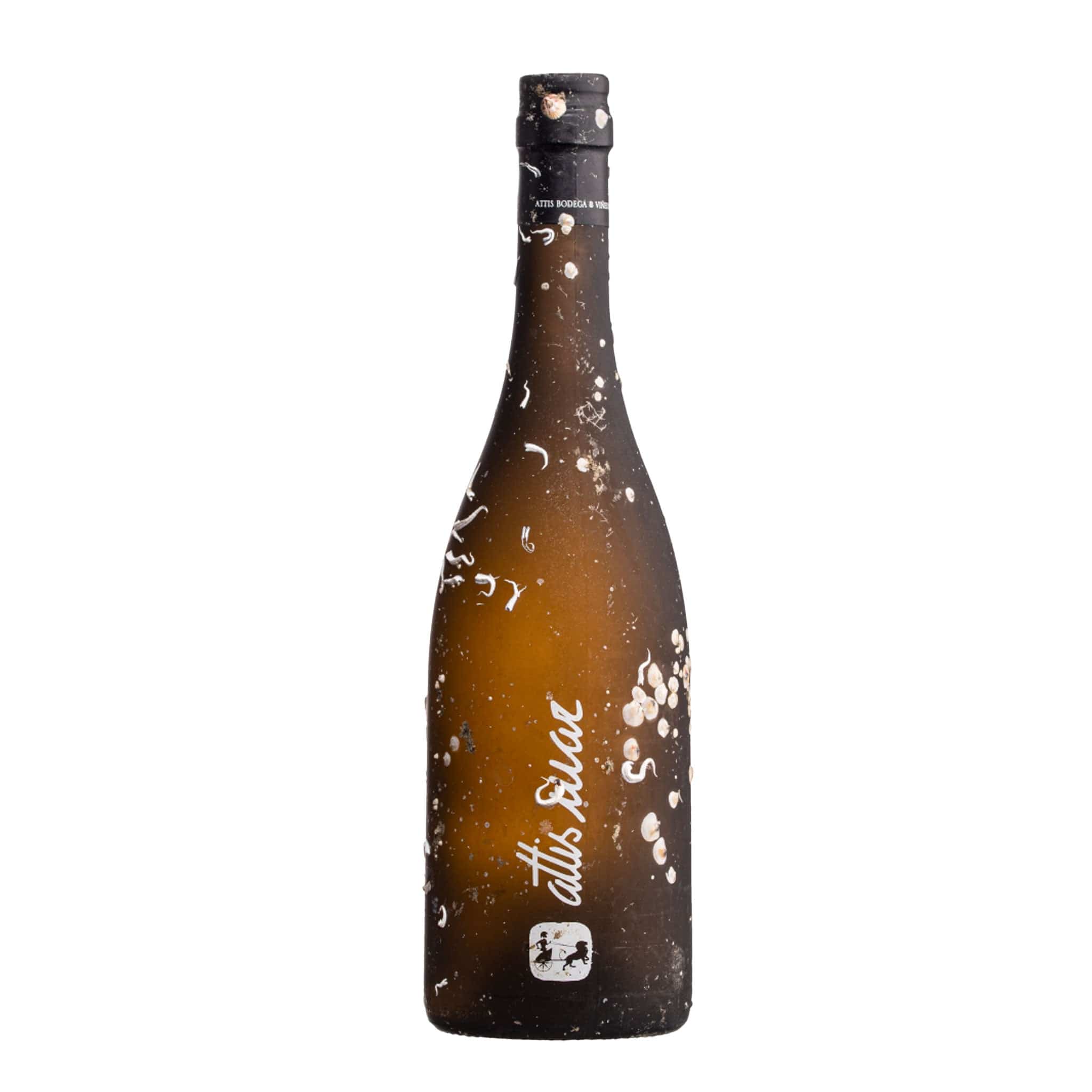 Attis MAR Albarino