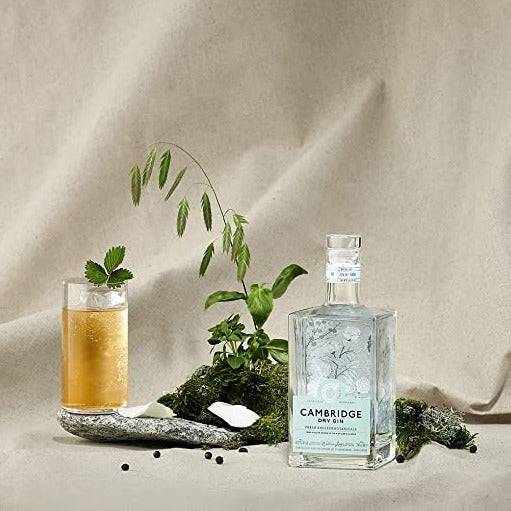Cambridge Curators Gin