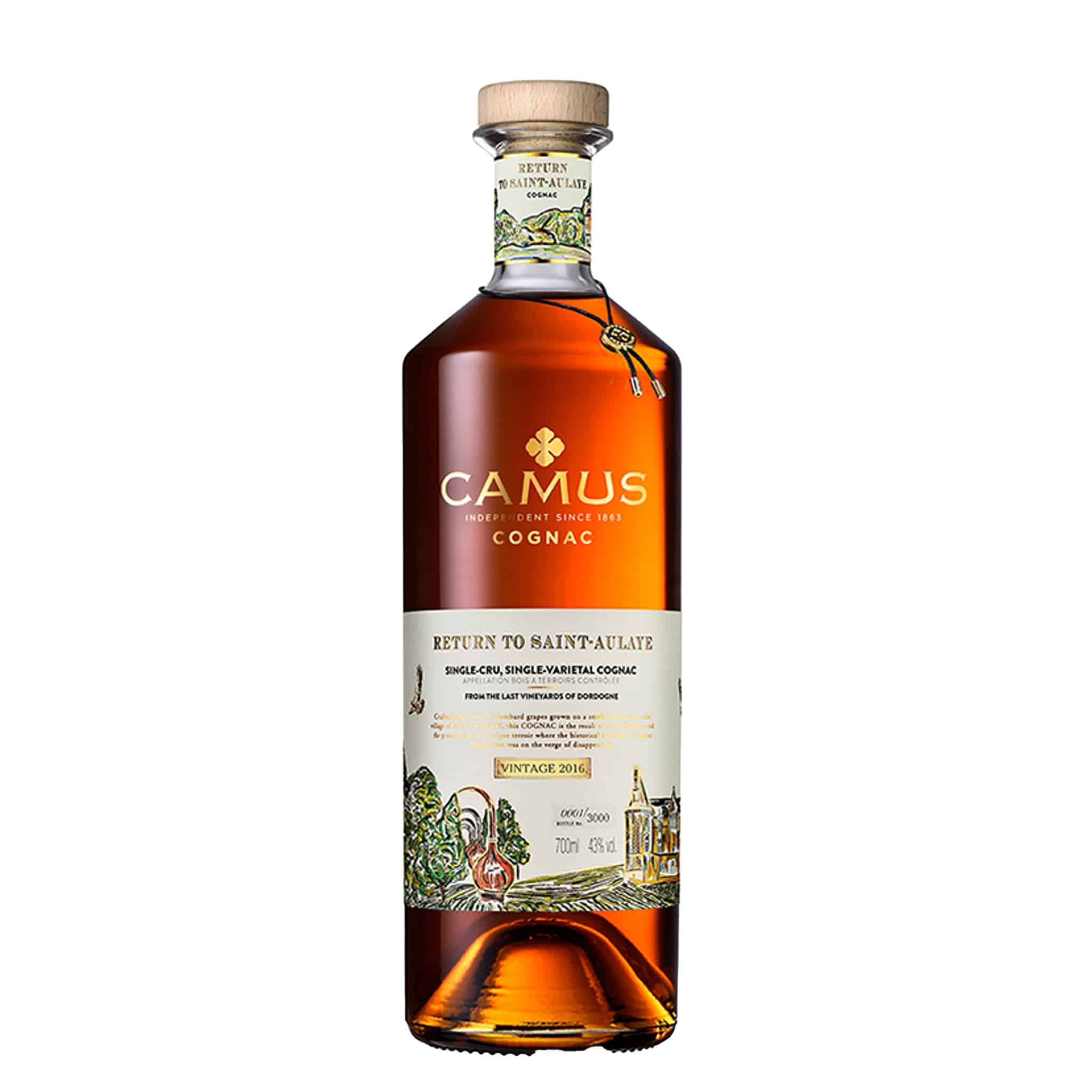 Camus Return to Saint-Aulaye Cognac