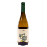 Prunus Branco