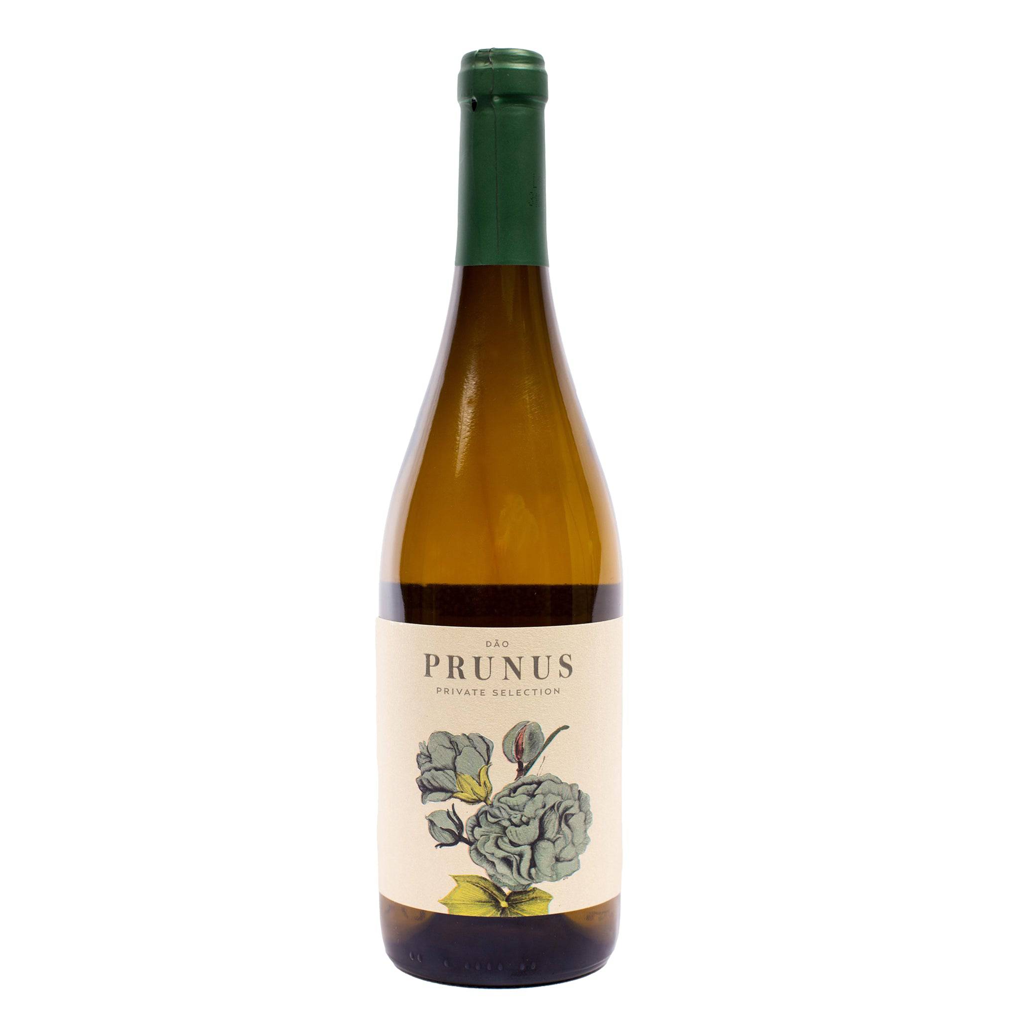Prunus Branco